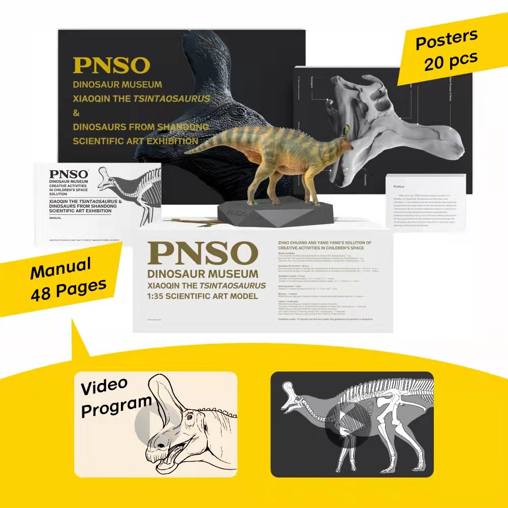 PNSO 1:35 Tsintaosaurus XiaoQin Model