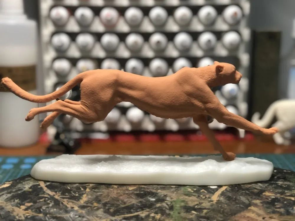 Running Cheetah Scene Model