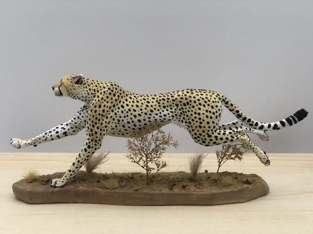 Running Cheetah Scene Model
