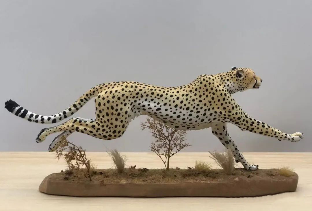 Running Cheetah Scene Model
