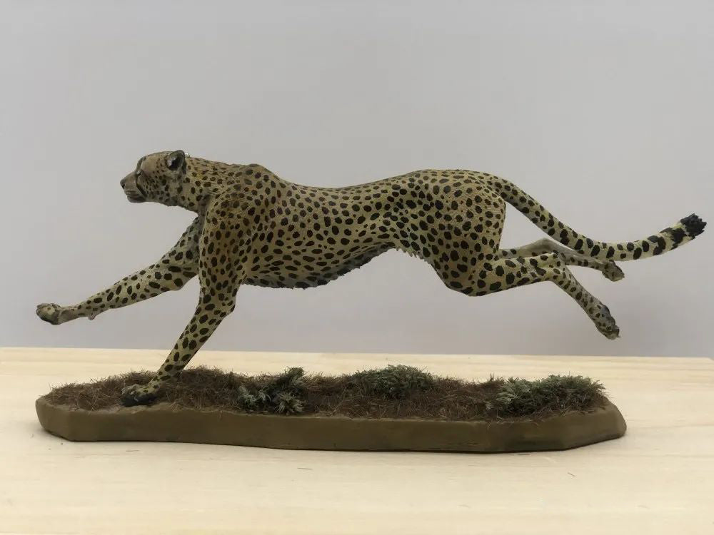 Running Cheetah Scene Model
