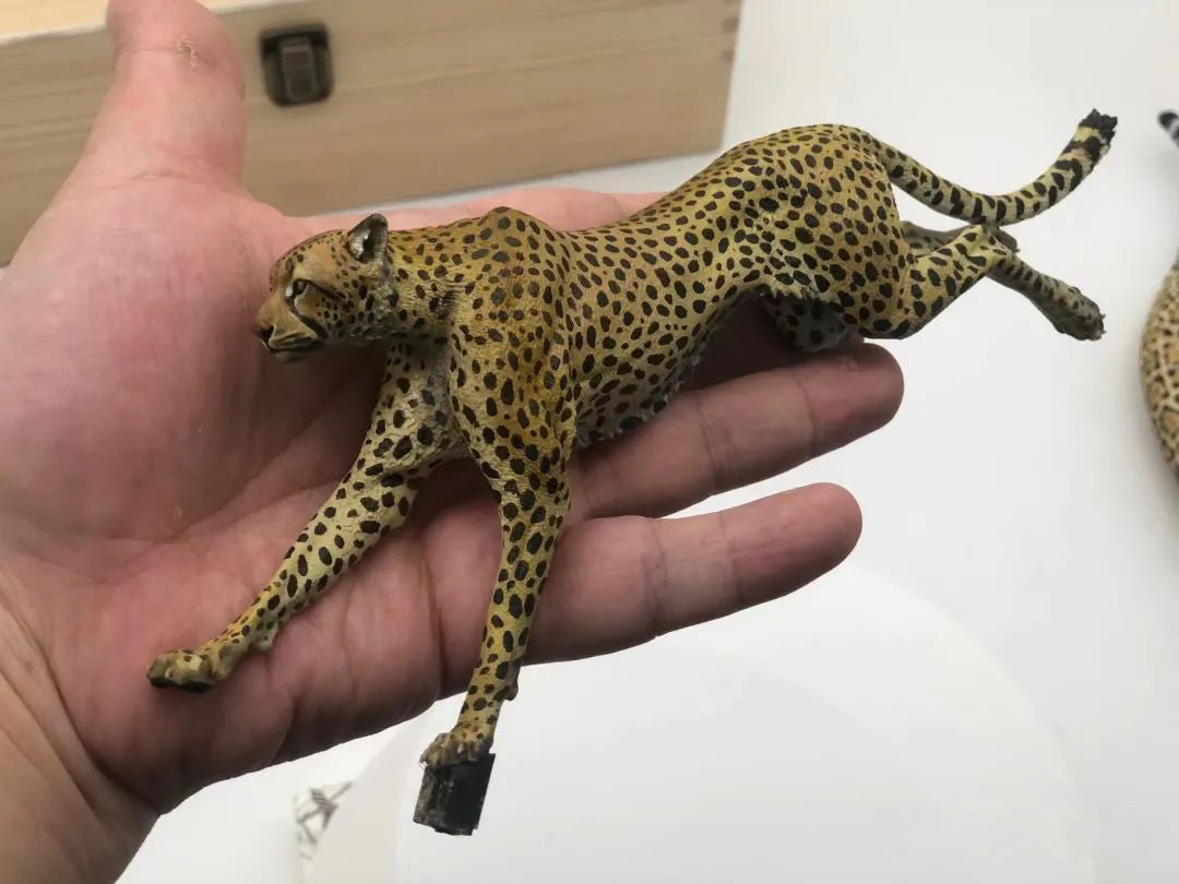 Running Cheetah Scene Model