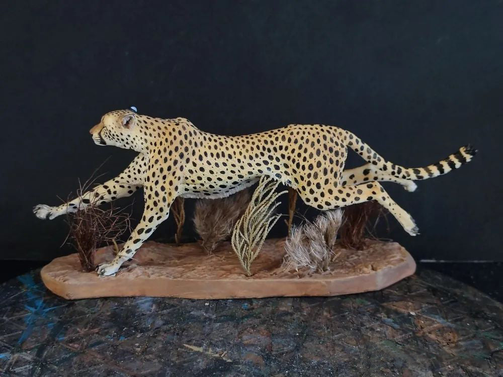 Running Cheetah Scene Model