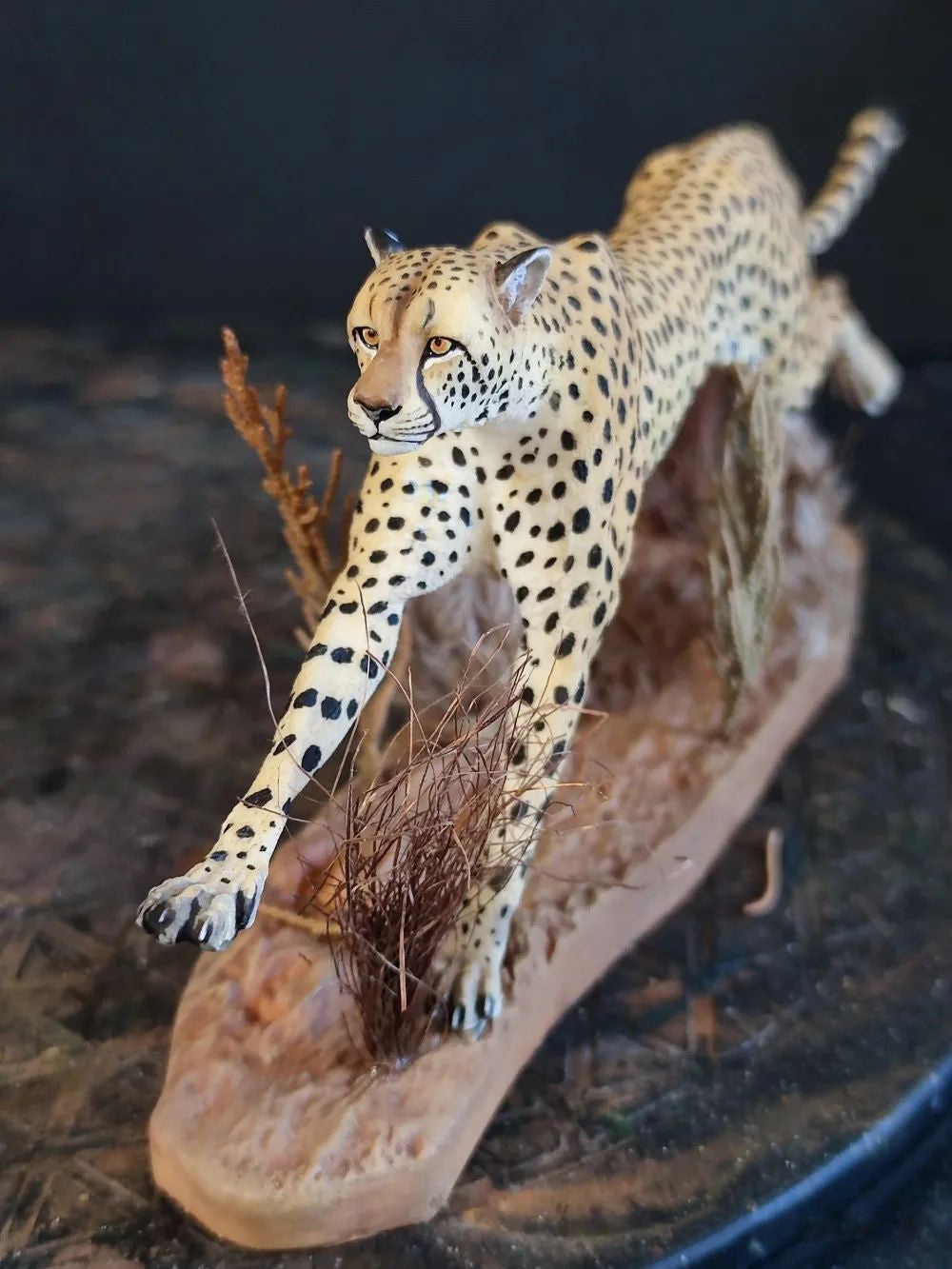 Running Cheetah Scene Model