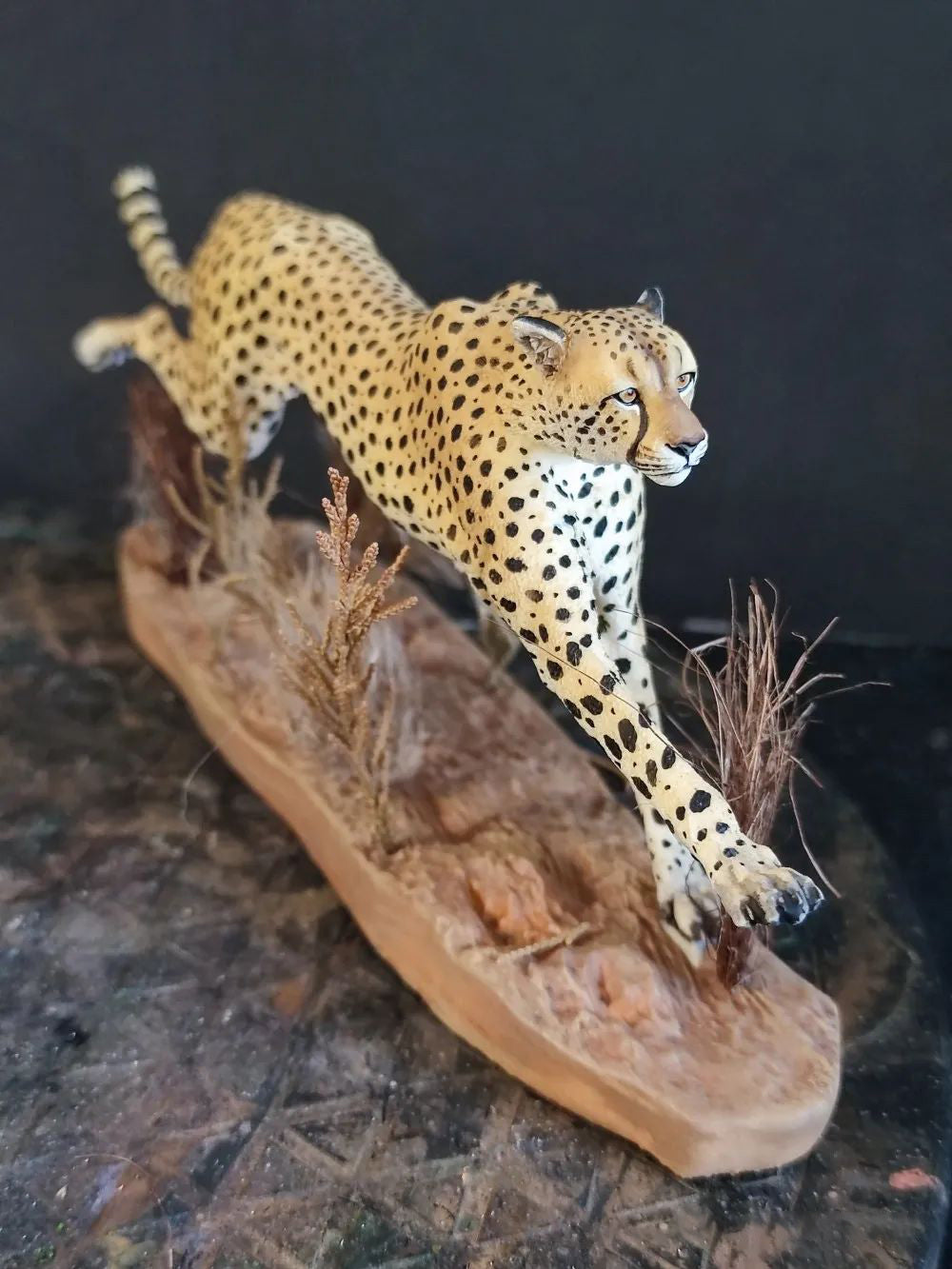 Running Cheetah Scene Model