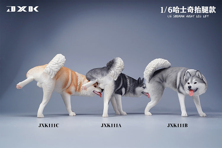 JXK 1/6 Siberian Husky Model