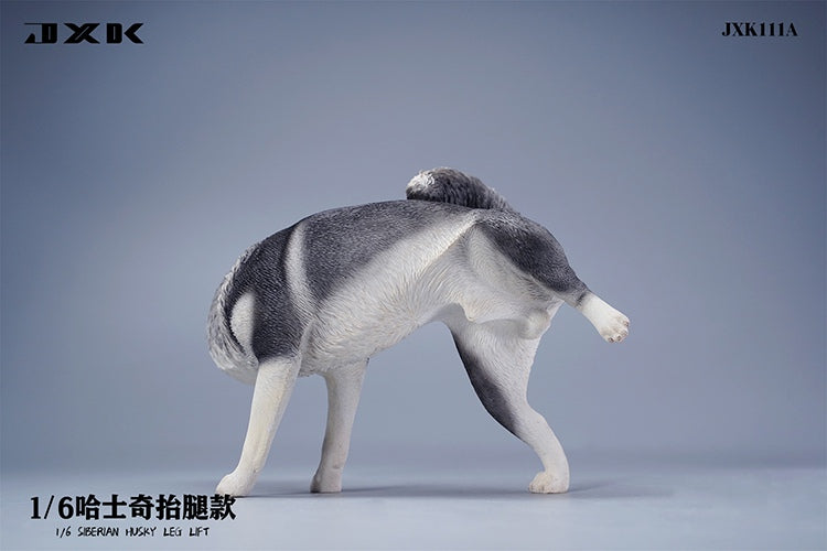 JXK 1/6 Siberian Husky Model