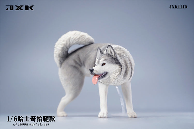 JXK 1/6 Siberian Husky Model