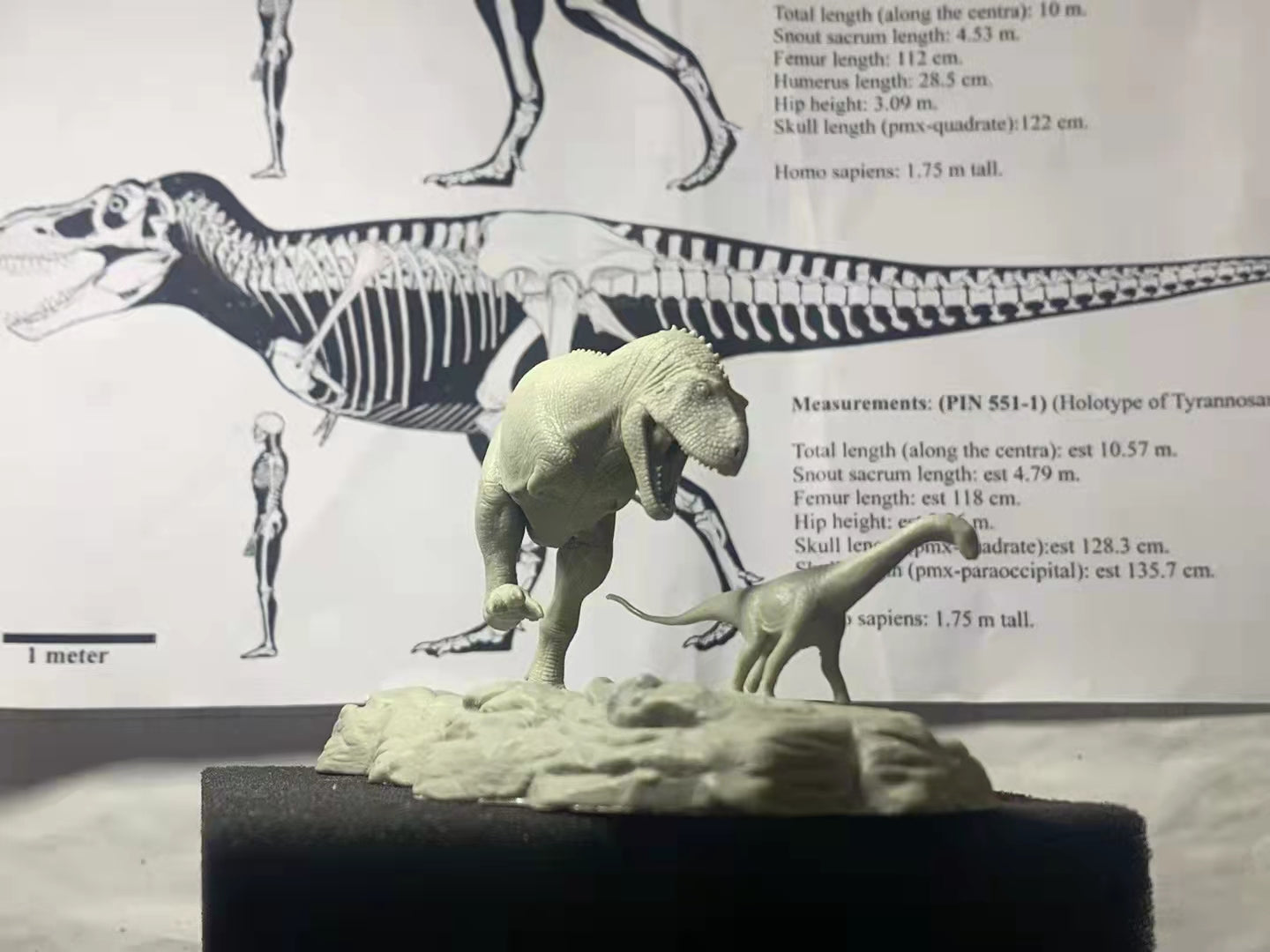 1/35 Scale Aucasaurus Hunt Antarctosaurus Cub Statue Kit
