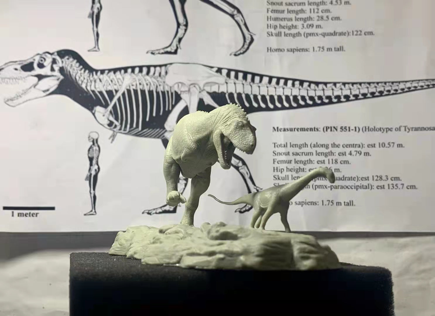 1/35 Scale Aucasaurus Hunt Antarctosaurus Cub Statue Kit