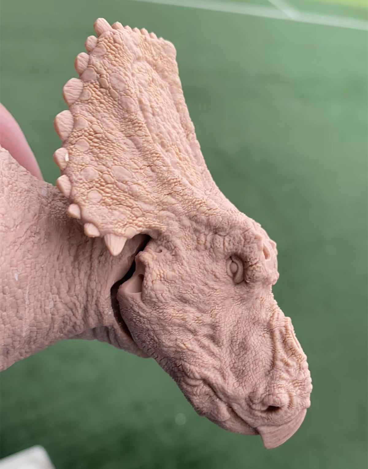 Sierraceratops turneri Model Kit