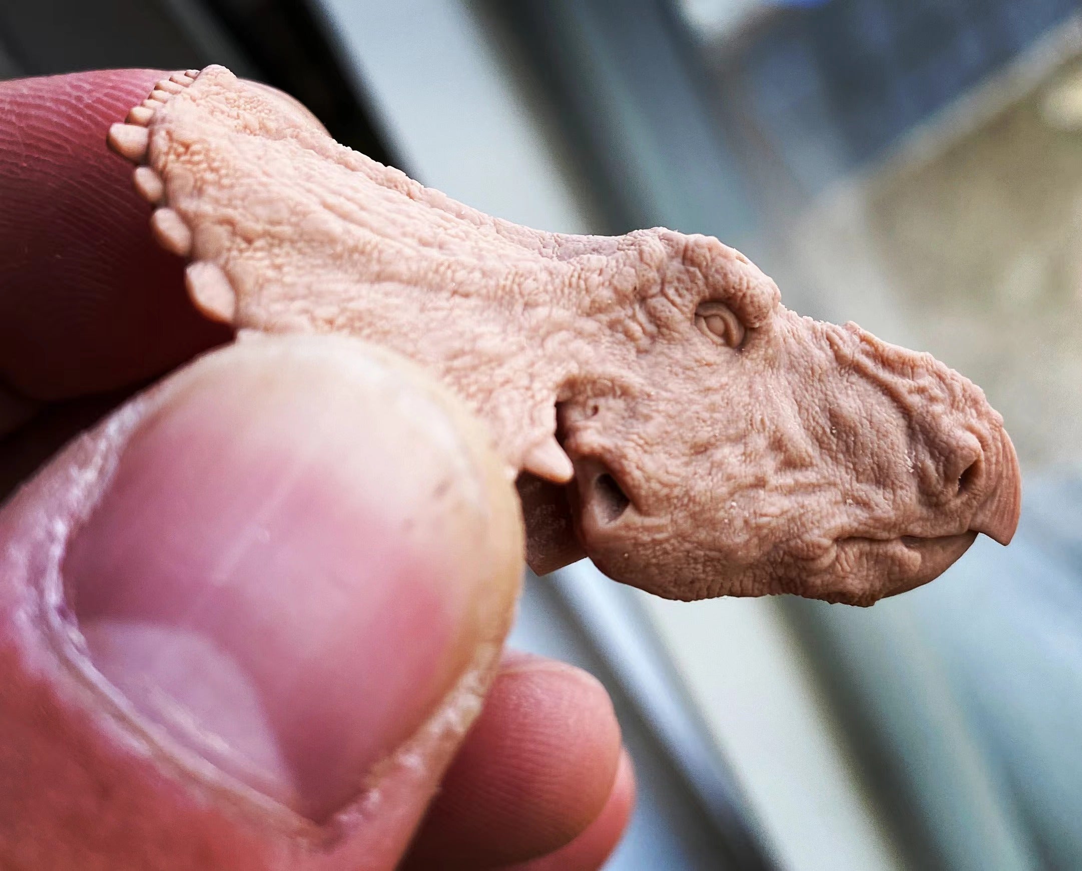 Sierraceratops turneri Model Kit