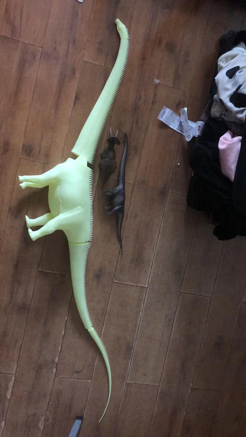 Barosaurus Model Kit