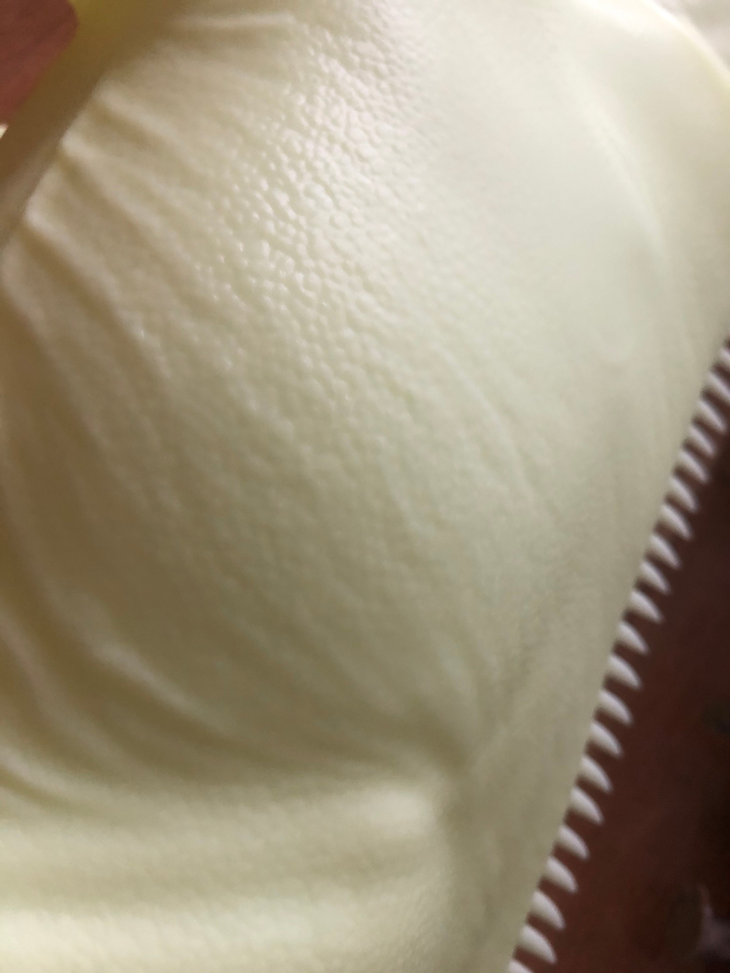 Barosaurus Model Kit