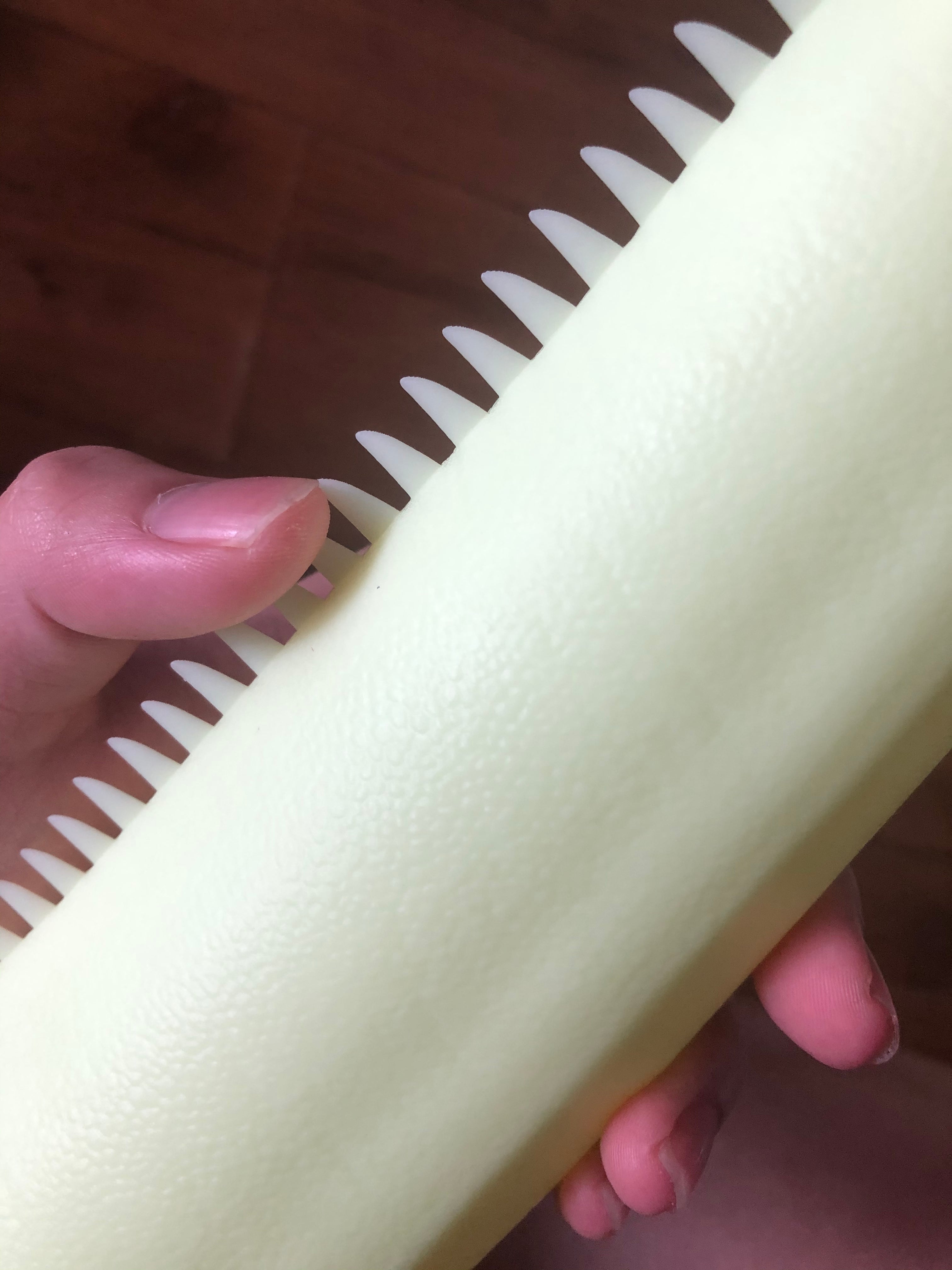 Barosaurus Model Kit