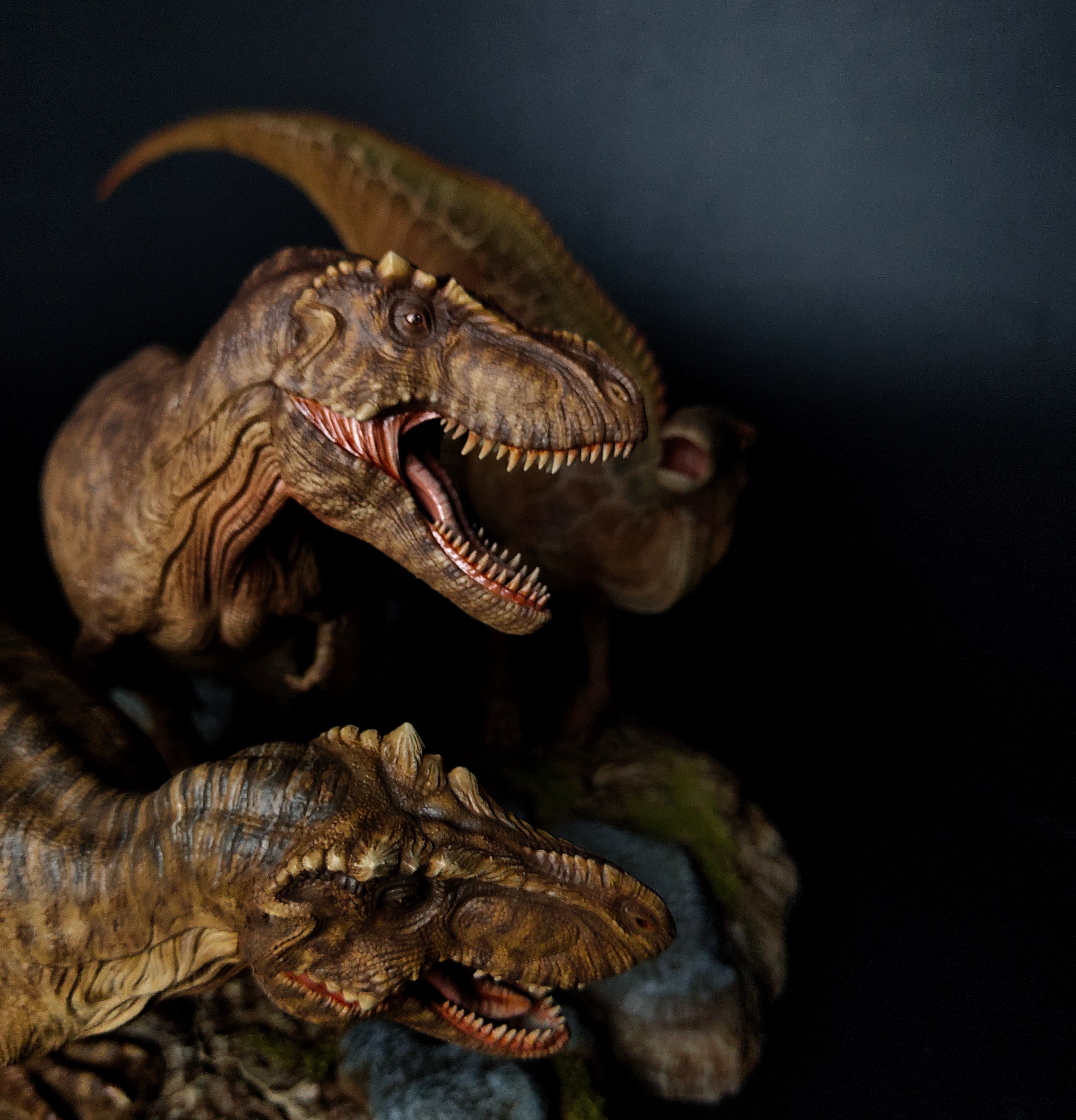 JM Zhuchengtyrannus Hunt Shantungosaurus Model