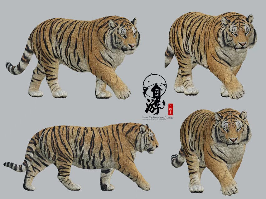 Panthera tigris altaica Siberian Tiger Model