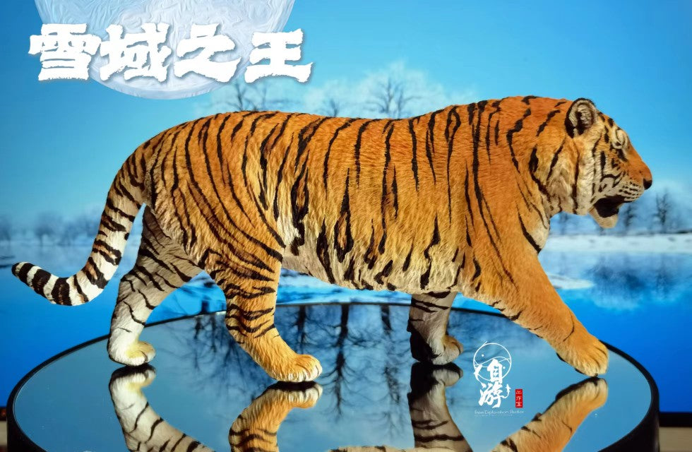 Panthera tigris altaica Siberian Tiger Model