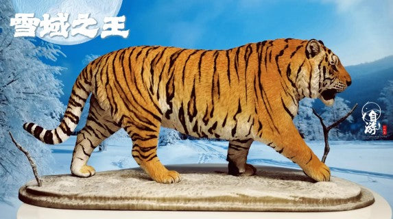 Panthera tigris altaica Siberian Tiger Model
