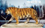 Panthera tigris altaica Siberian Tiger Model