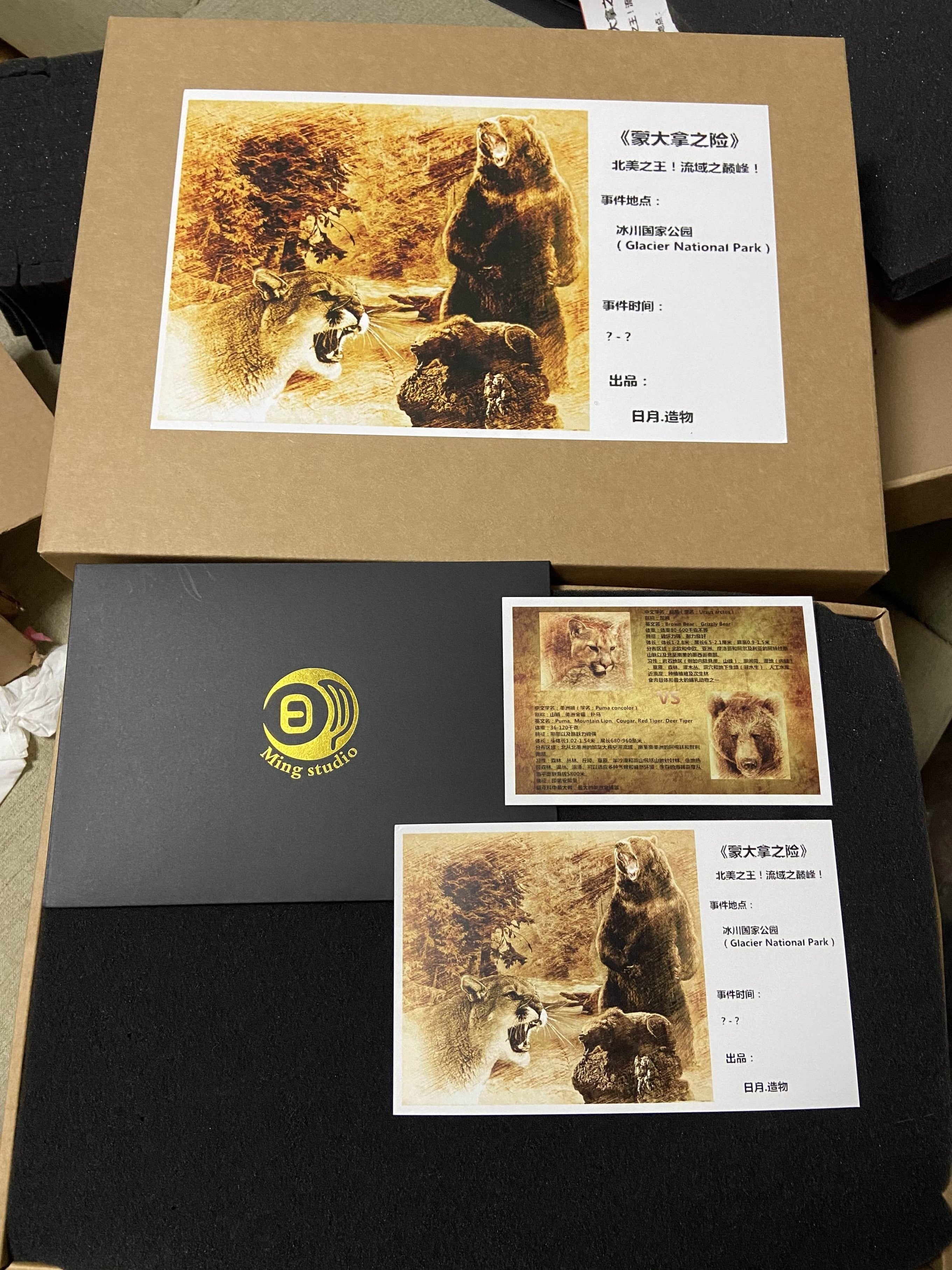 1:15 Cougar VS Brown Bear Scene Model