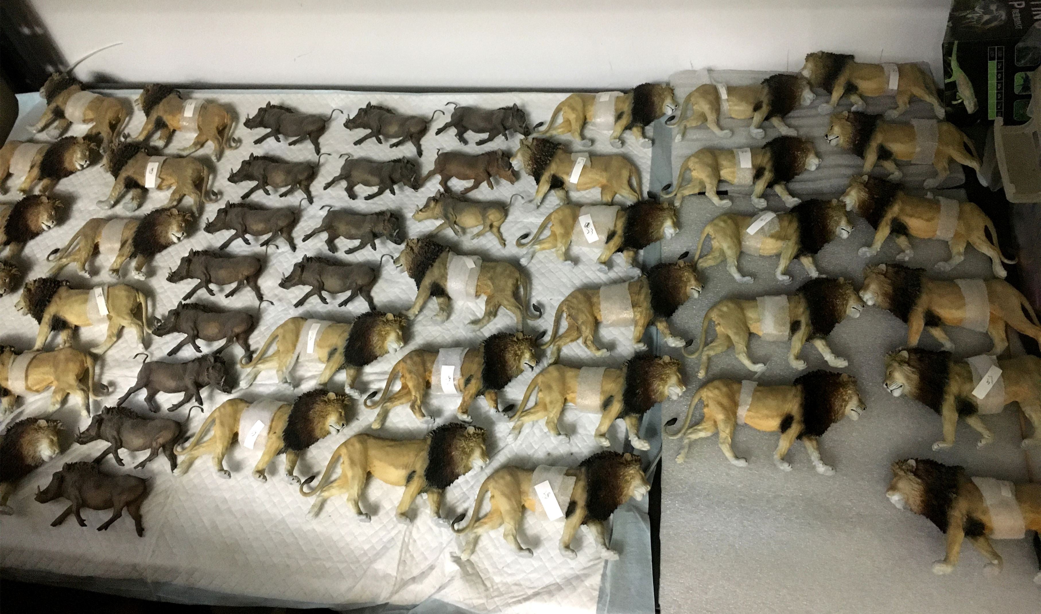 Lion Warthog Meerkat Scene Model