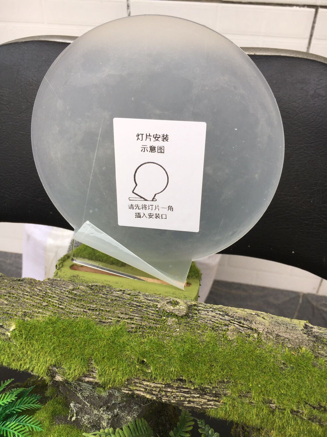 Lion Warthog Meerkat Scene Model