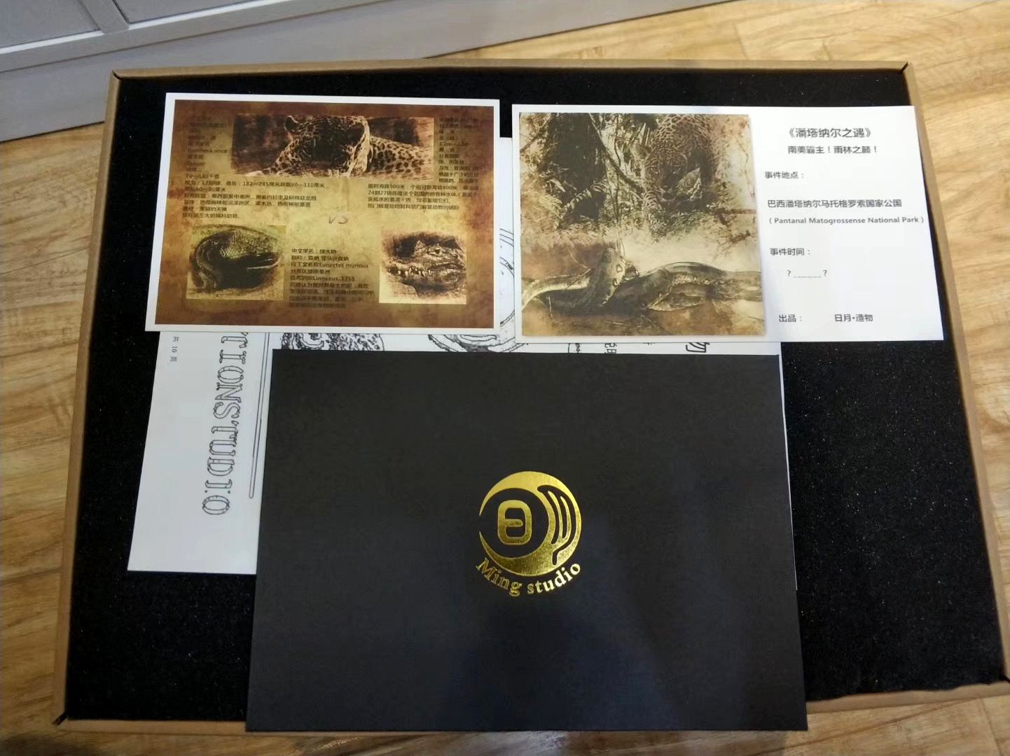 Panthera onca Eunectes Murinus Caiman Scene Model