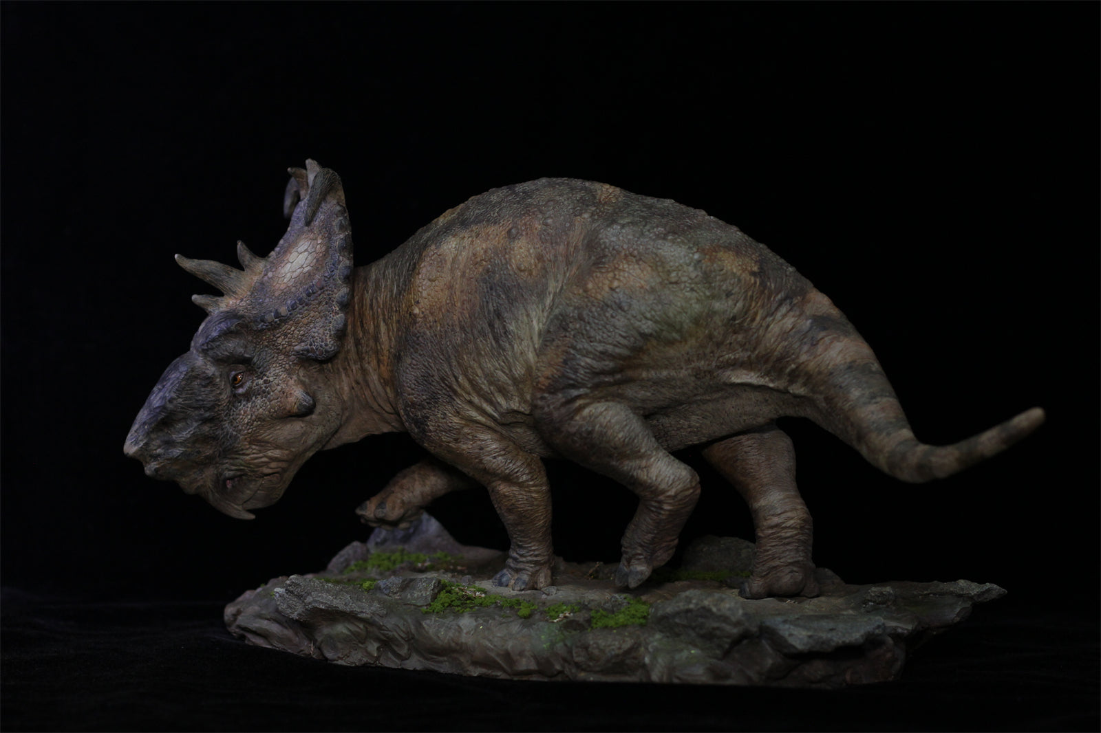 1:15 Scale Pachyrhinosaurus Scene Model