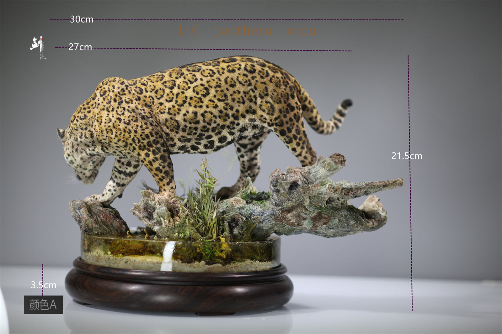 1:6 Panthera onca Scene Model