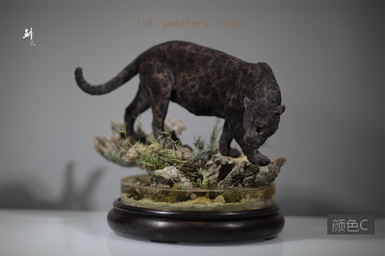 1:6 Panthera onca Scene Model