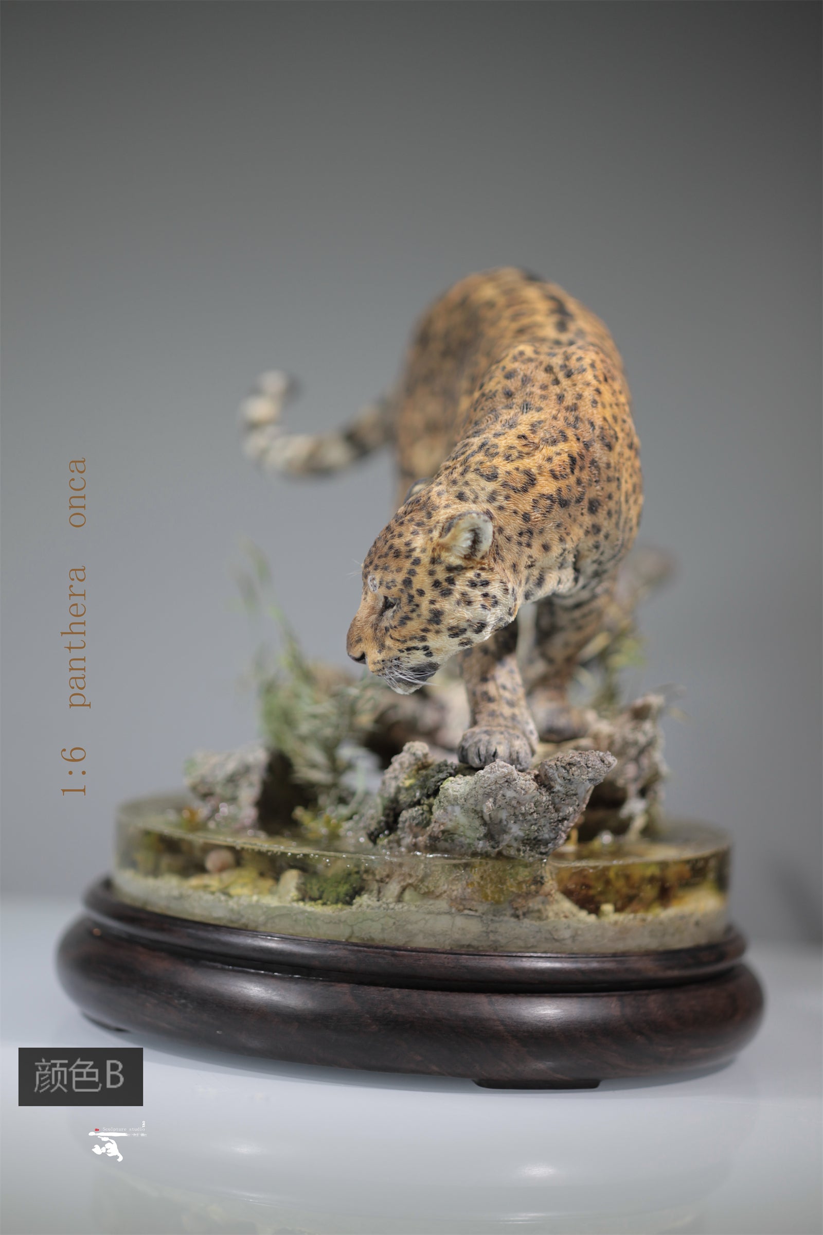 1:6 Panthera onca Scene Model