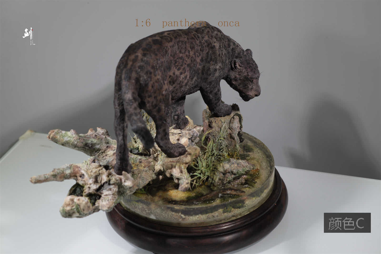 1:6 Panthera onca Scene Model