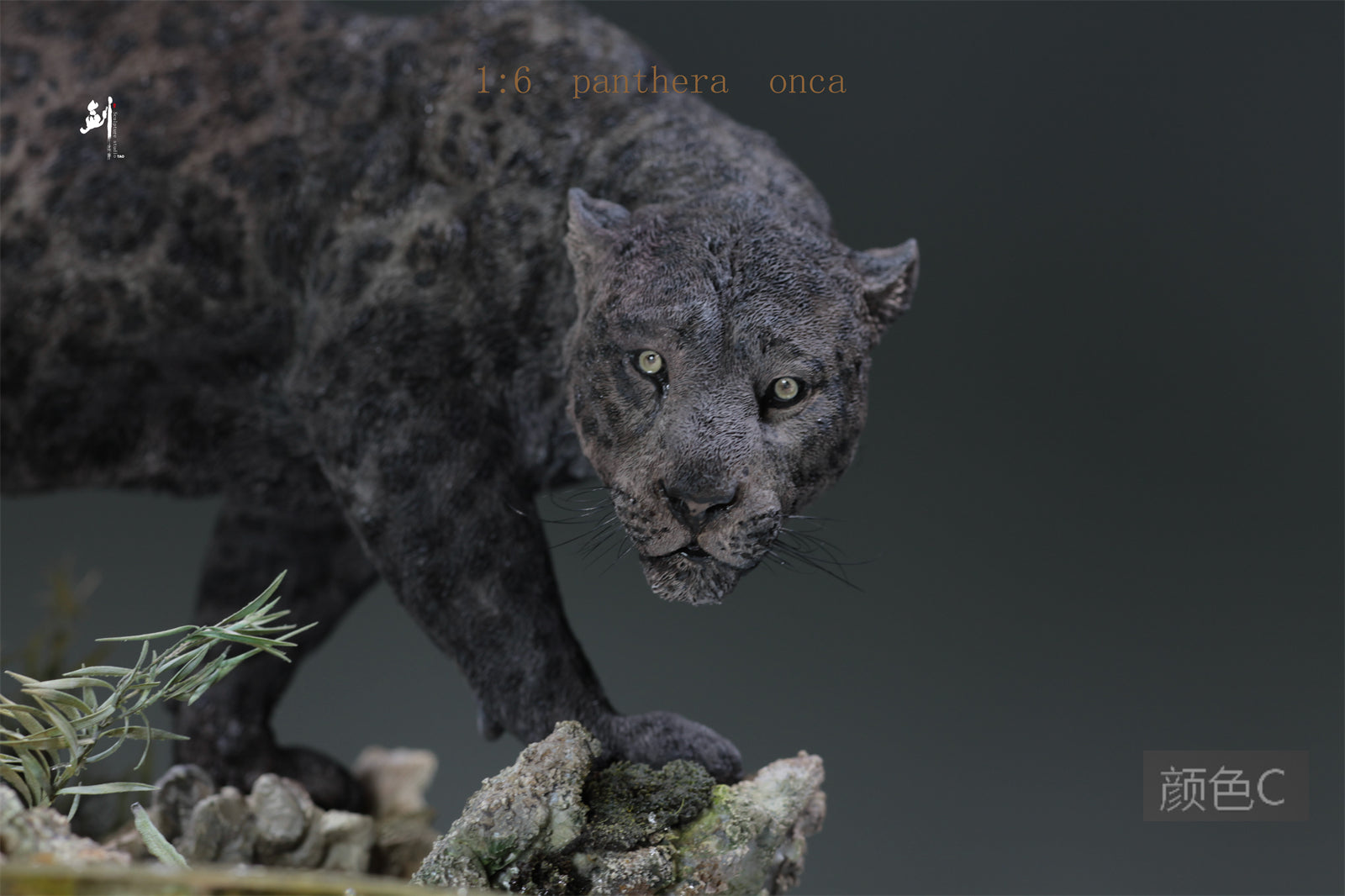 1:6 Panthera onca Scene Model