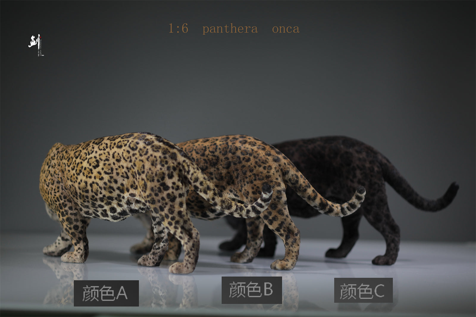 1:6 Panthera onca Scene Model