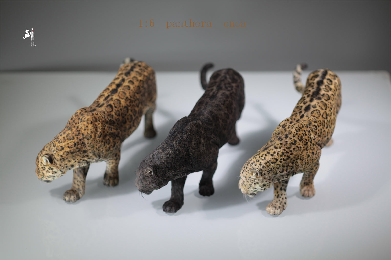 1:6 Panthera onca Scene Model