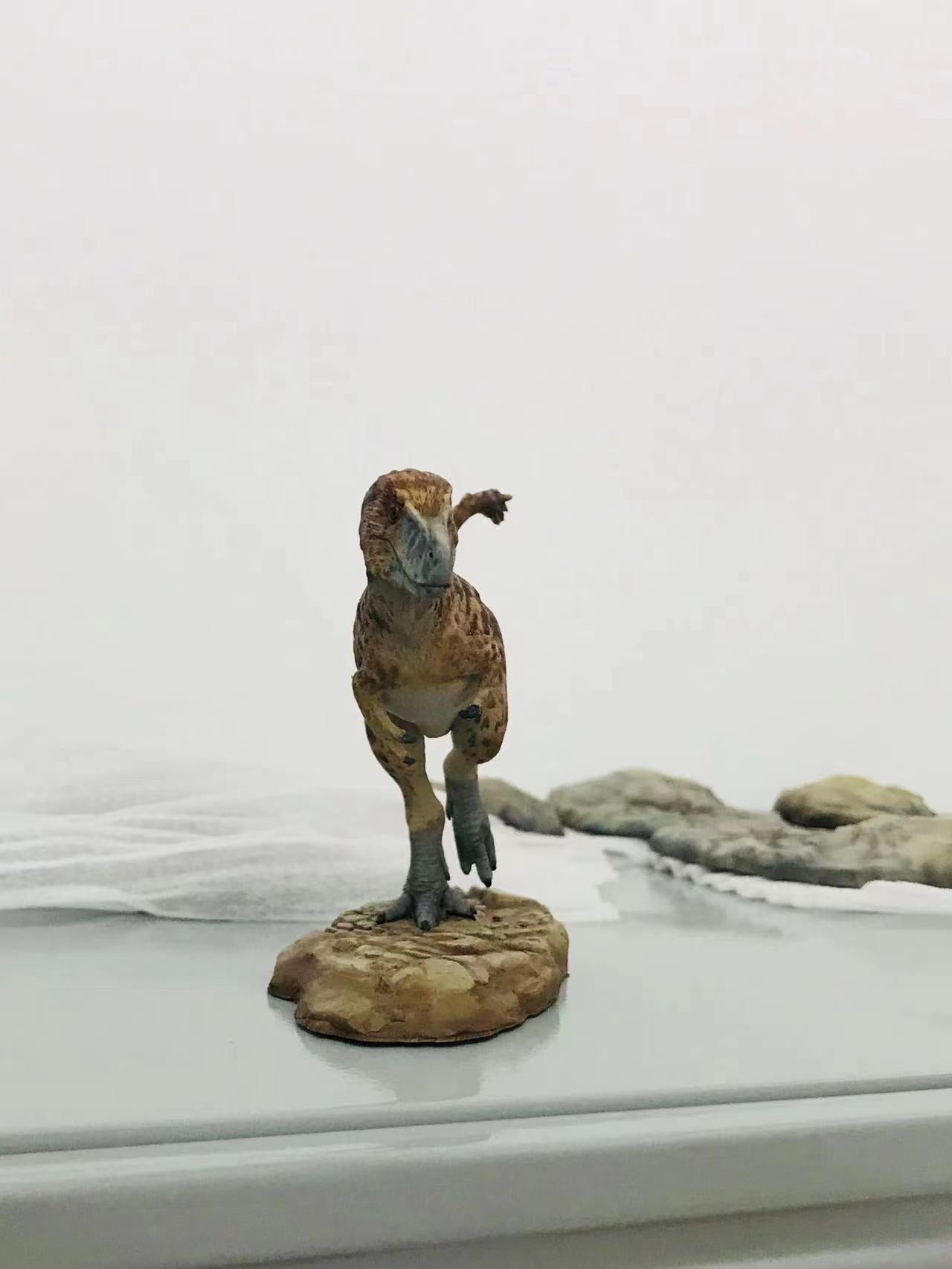 Cen DaoYi Studio 1:15 Scale Tyrannosaurus Cub Statue Model Kit
