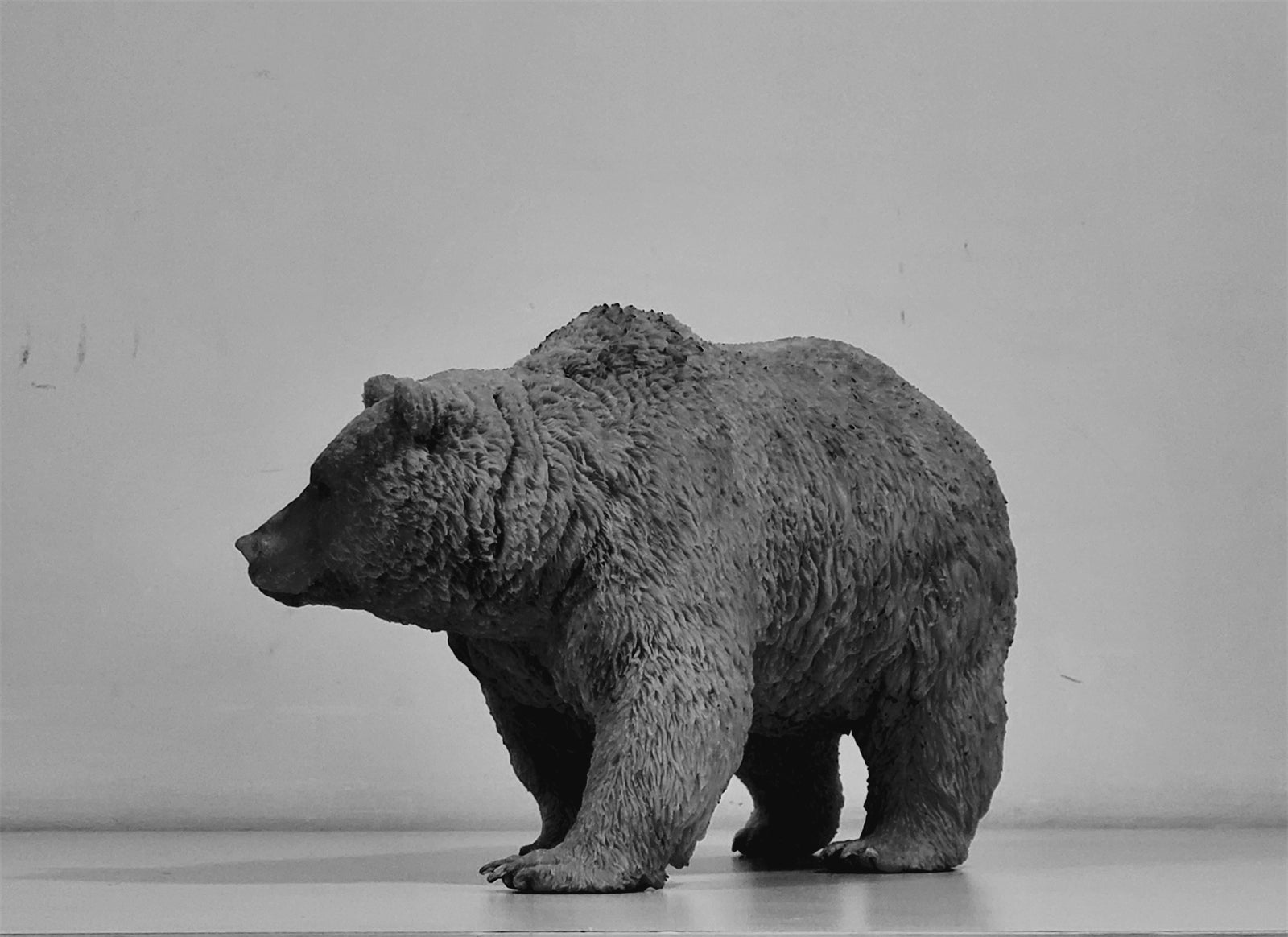 tunan 1:10 Scale Ursus arctos Brown Bear Model