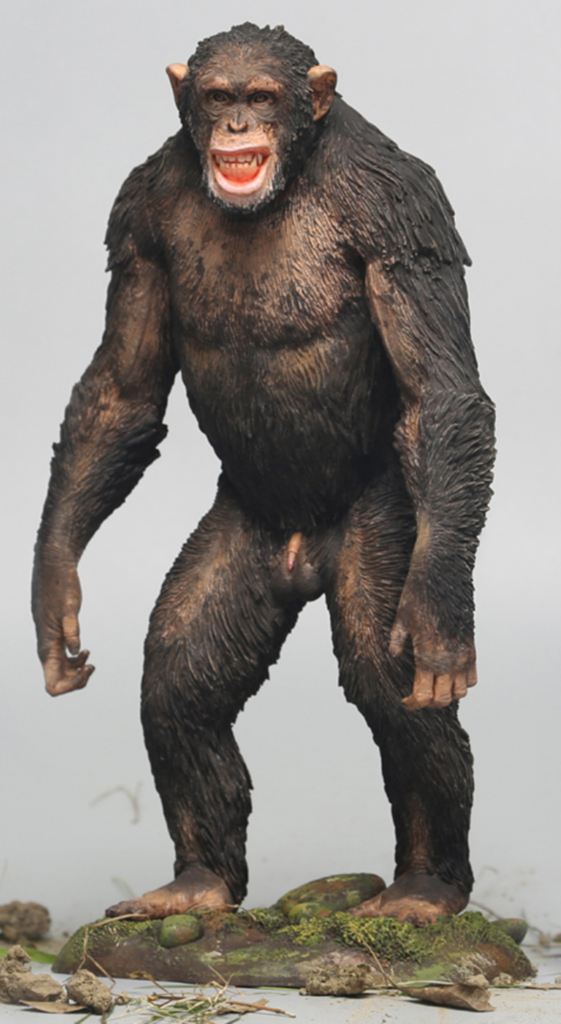 Dafei Pan troglodytes Dwarf Chimpanzee Unpainted Statue