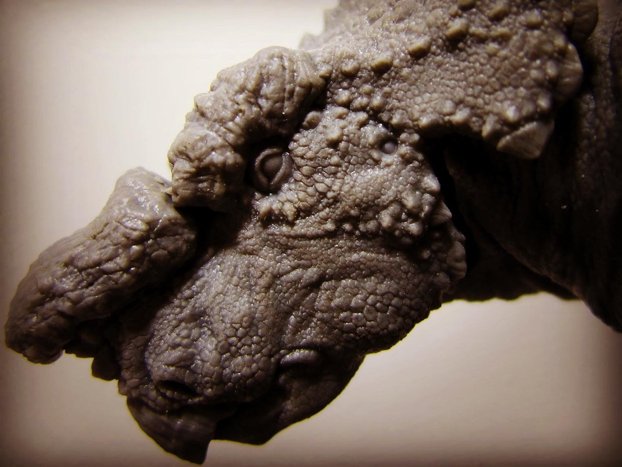 Achelousaurus Scene Model Kit