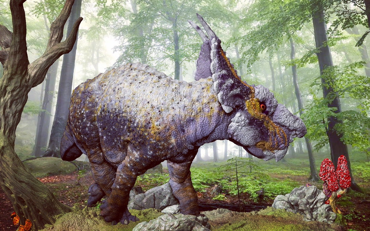 Achelousaurus Scene Model Kit