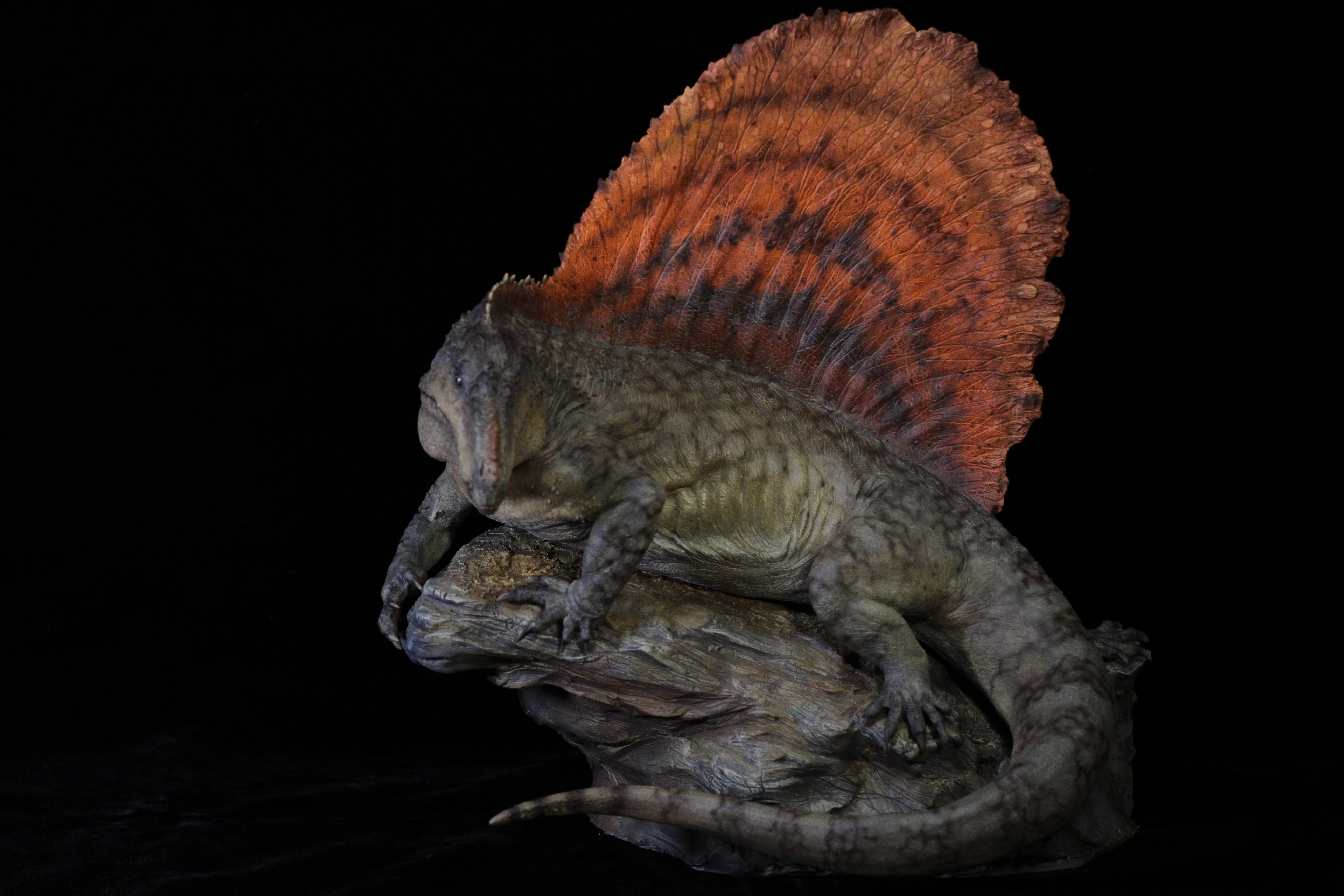 DM 1:5 Dimetrodon Scene Kit