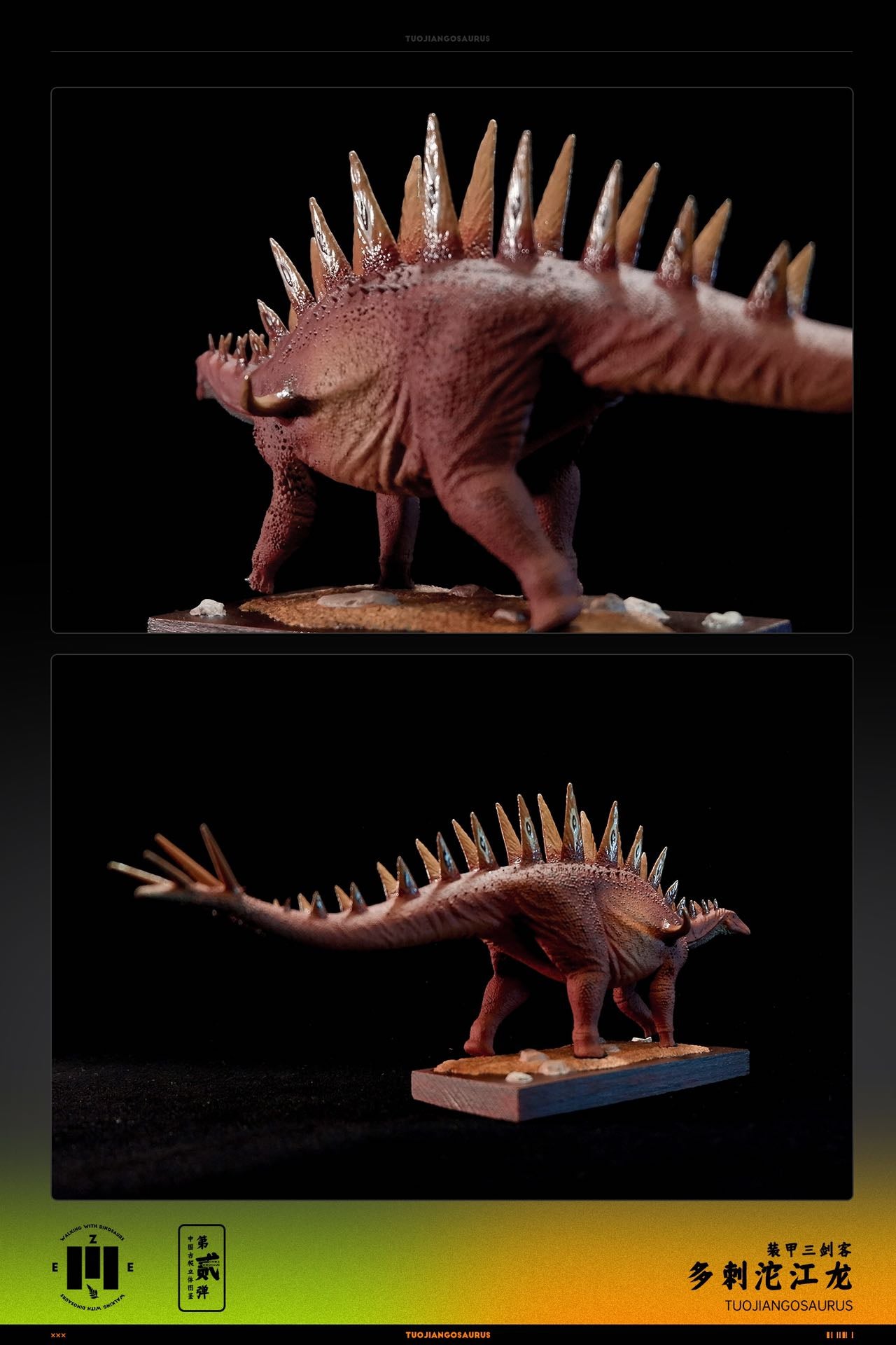 ZEE STUDIO 1:35 Scale Tuojiangosaurus multispinus Model Kit