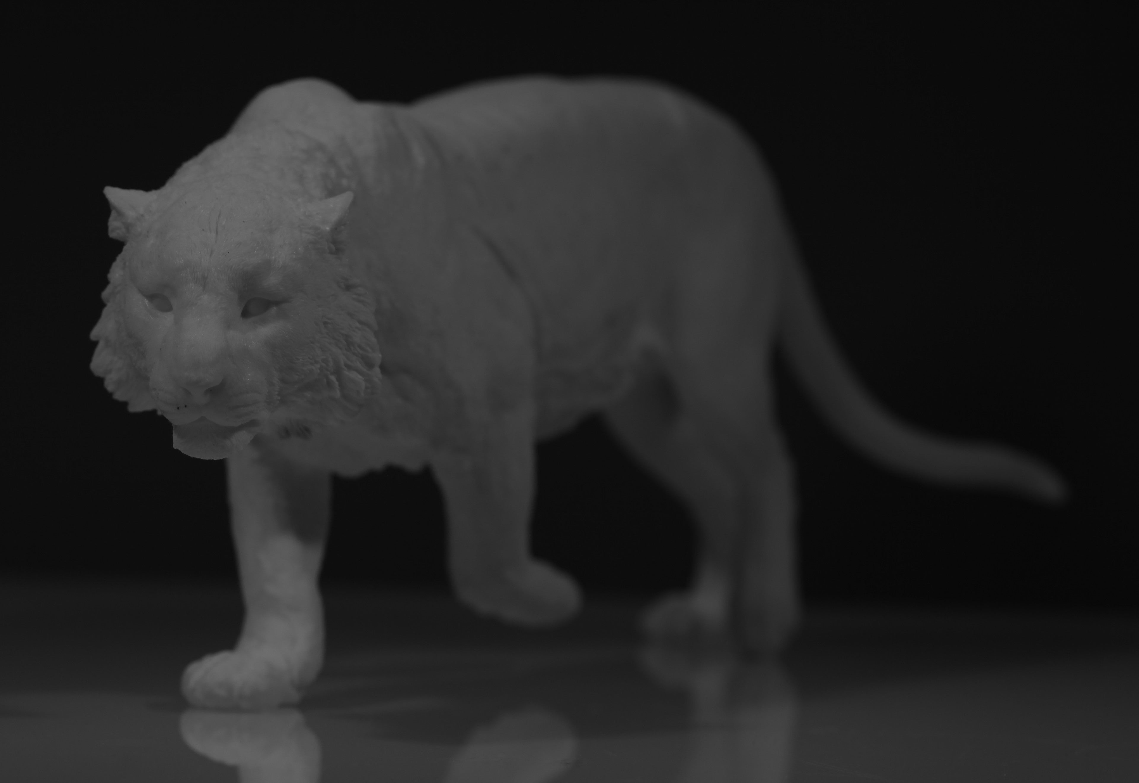 1:6 Sumatran Tiger Model