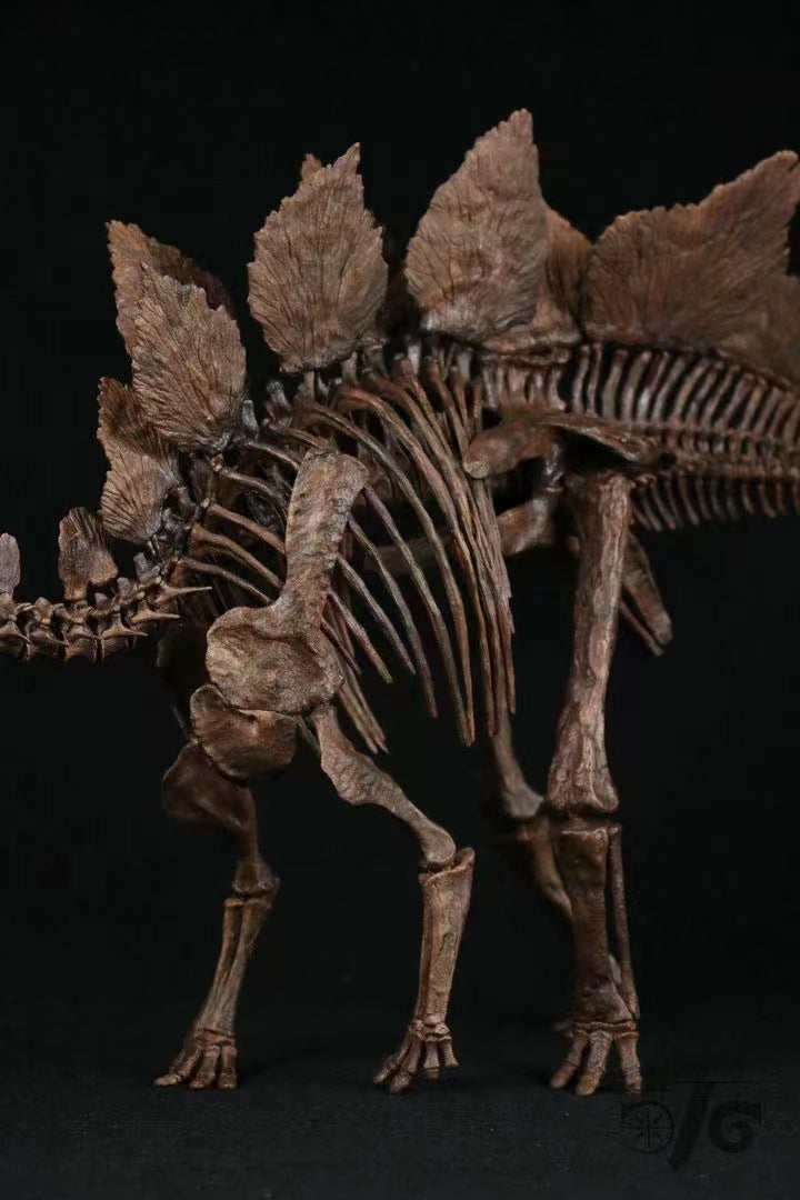 1/10 Stegosaurus Skeleton Model