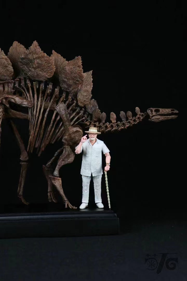 1/10 Stegosaurus Skeleton Model