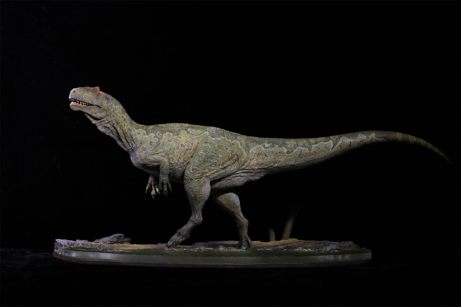 1/18 Allosaurus jimmadseni Statue