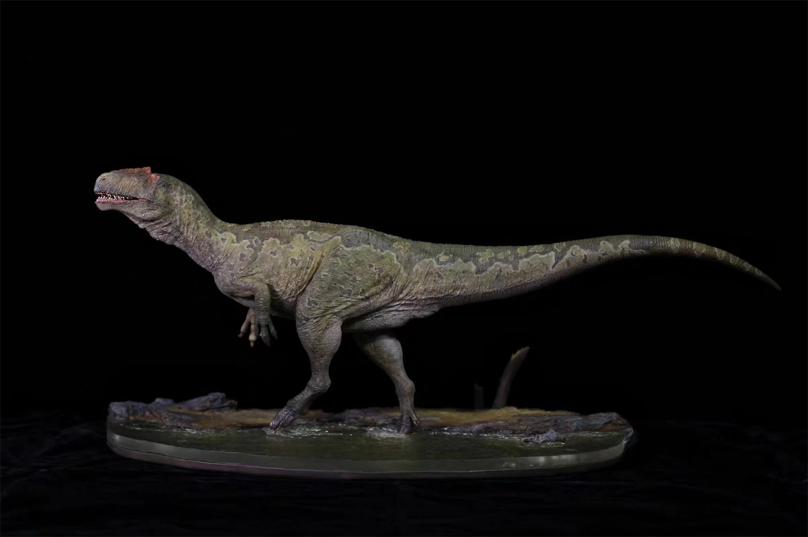 1/18 Allosaurus jimmadseni Statue
