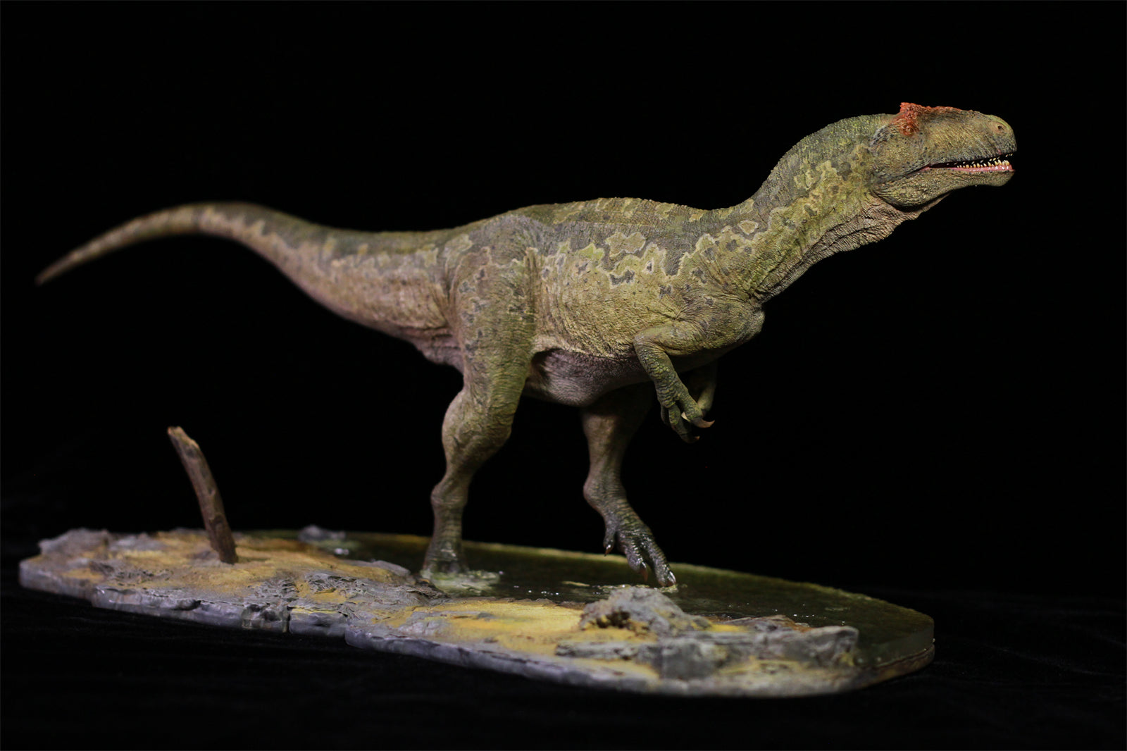1/18 Allosaurus jimmadseni Statue