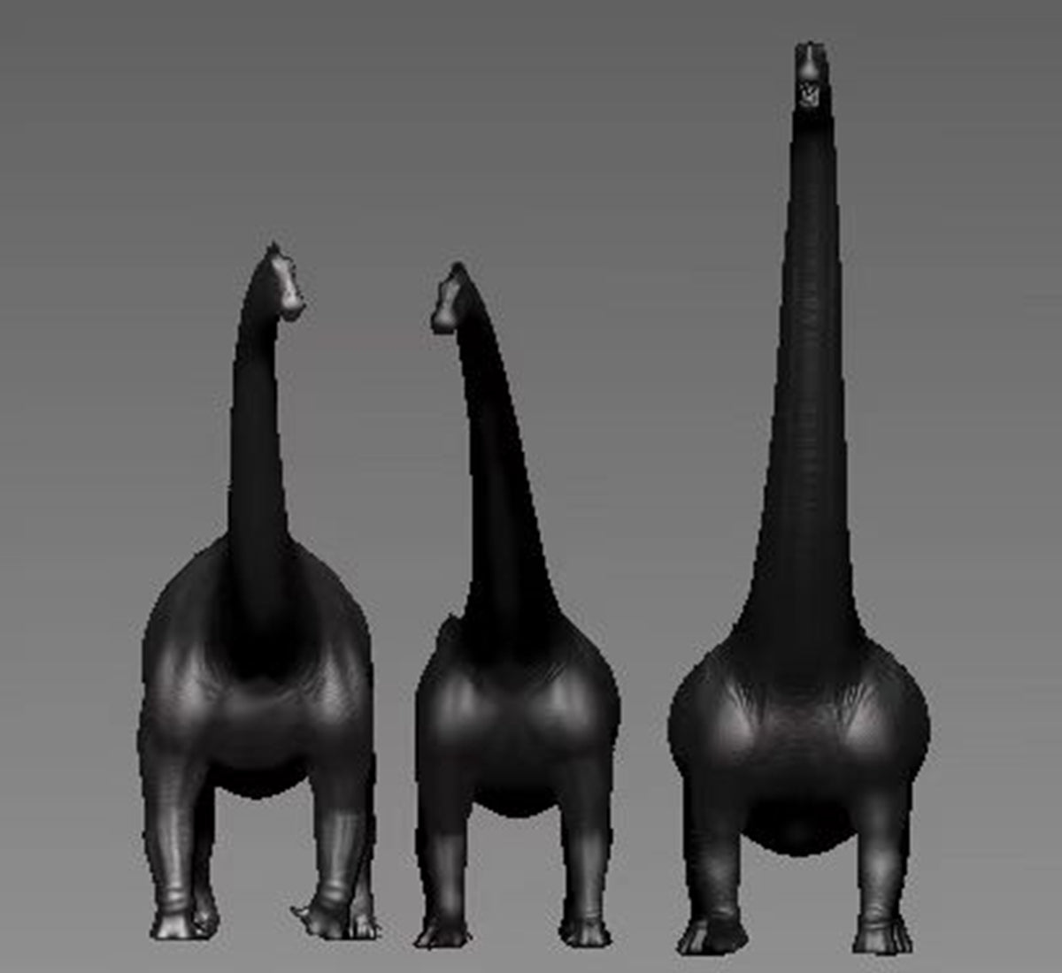 Maraapunisaurus fragillimus Model Kit